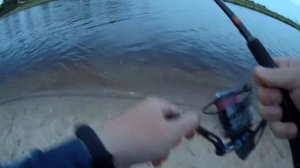 Насколько универсален спиннинг Cadence Primo? Рыбалка на воблеры и отводной поводок. Окунь. Судак.