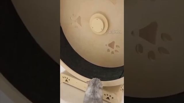 План провален