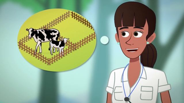 El jaguar en la Selva Maya. Episodio 4: Recomendaciones para evitar ataques al ganado смотреть онлайн