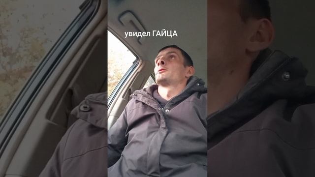 без прав за