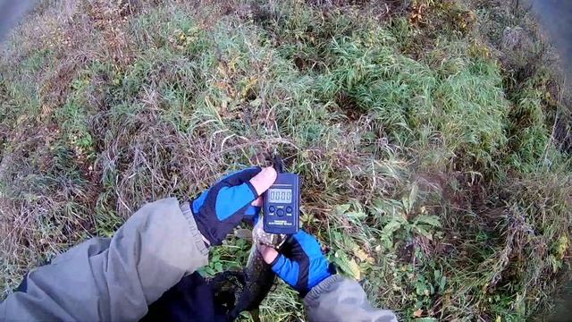 Мелкорека, мелкощука, осень... смотреть онлайн