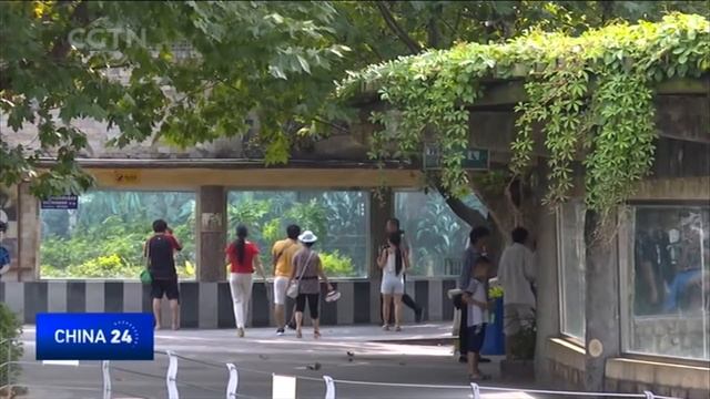 How animals at China's Chengdu Zoo escape the heat смотреть онлайн