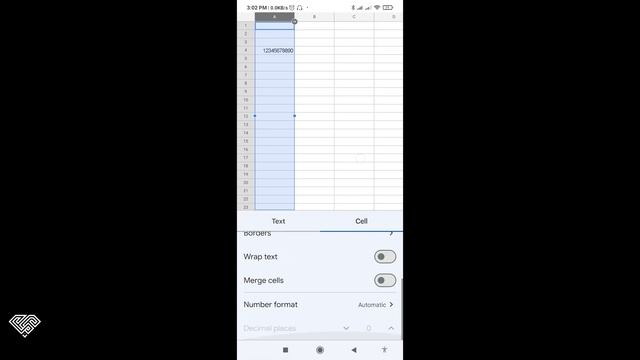 How to Write Phone Number in Mobile Google Sheets App смотреть онлайн