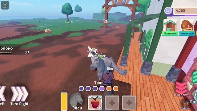 ГАЙД/СОВЕТ ДЛЯ НОВИЧКА [Horse Life Alpha]