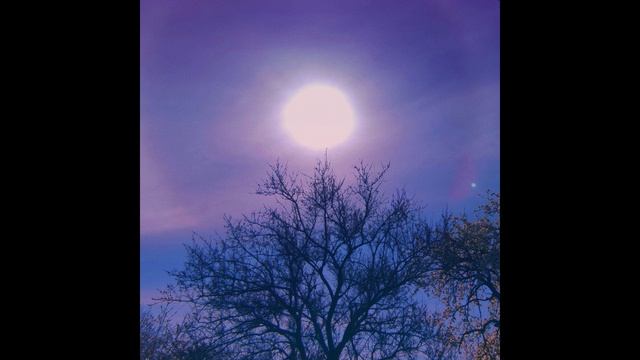 Sunbyonic - Perfect motions смотреть онлайн