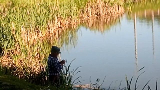 Медный Крючок,18.06.2020. Самый странный способ заброса удилищем с безынерционной катушкой... смотреть онлайн