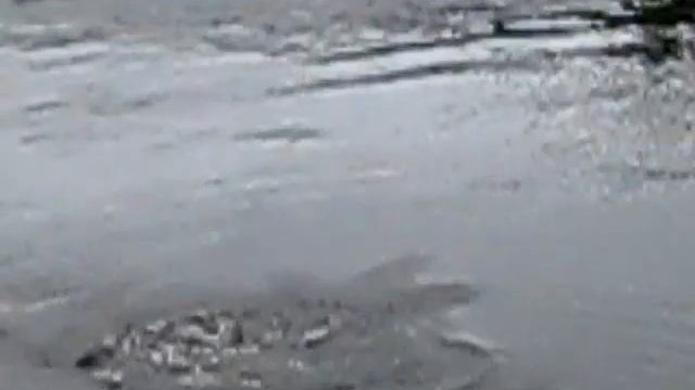 Рыбалка на коле 1 смотреть онлайн