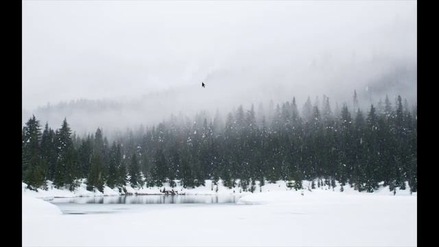 arch linux vm (real) смотреть онлайн