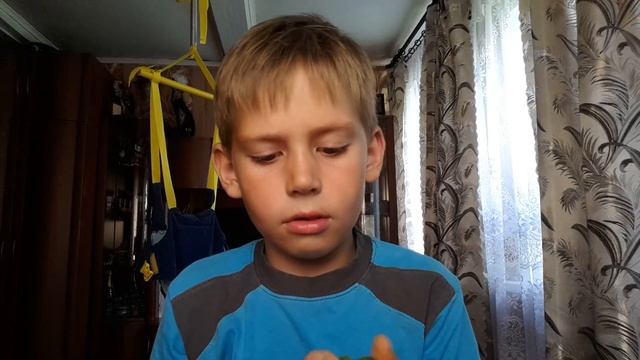 МОЙ сама дельный лизун