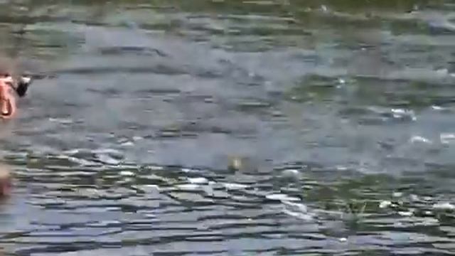 За Голавлями О Рыбалке Всерьез Low смотреть онлайн