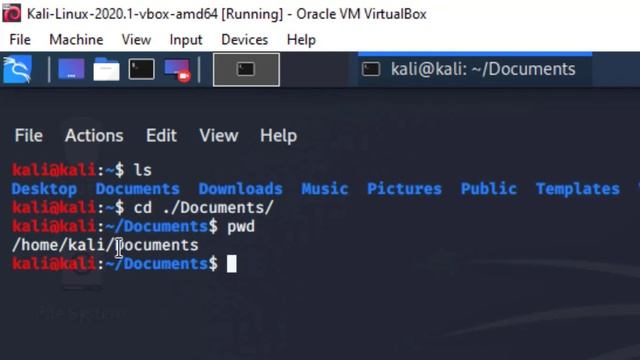 3| Understanding Linux(Unix Family of Operating Systems) File System Tree and Navigation | Chapter смотреть онлайн