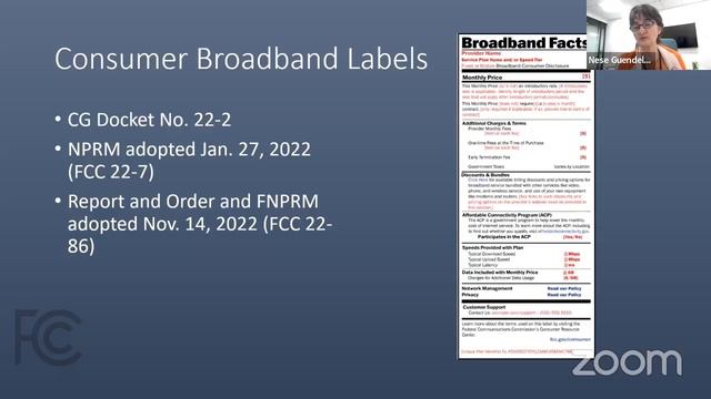 Webinar onTelecommunications Consumer Protection смотреть онлайн