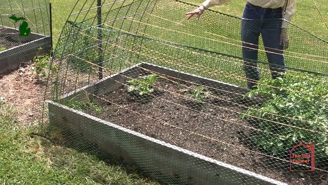 79 Mrs Old Farmer talks about the Vegetable Garden смотреть онлайн