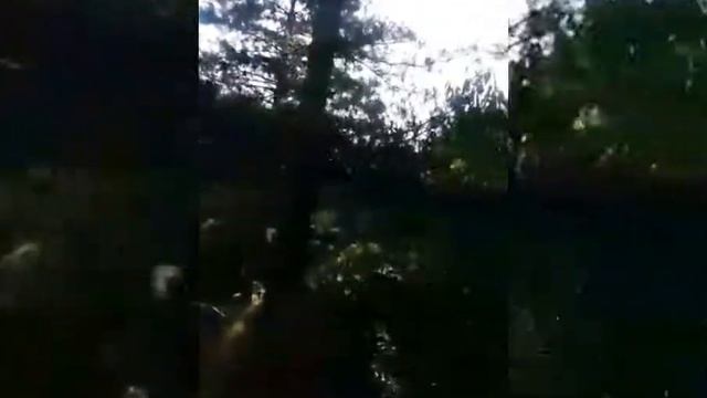 Mera Khobsurat Kashmir