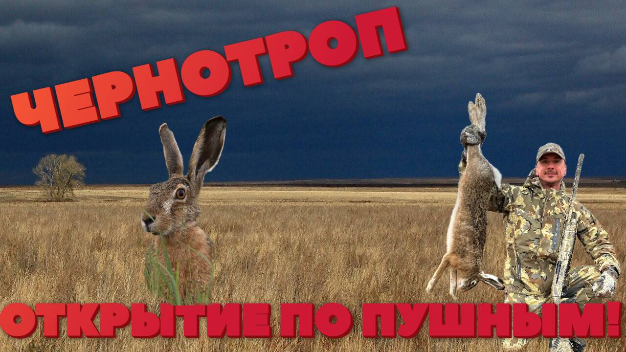 ЧЕРНОТРОП. ОТКРЫТИЕ ПО ПУШНЫМ. смотреть онлайн