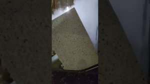 Производство поролон вторичного вспенивания (пвв)