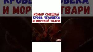 КОМАР СМЕШАЛ КРОВЬ ЧЕЛОВЕКА И МОРСКОЙ ТВАРИ