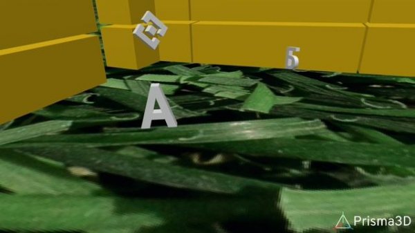 Роскомнадзор запретил букву А