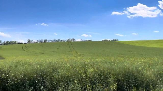 Windows XP Wallpaper IRL смотреть онлайн