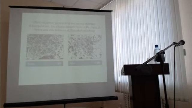 МОДЕЛИРОВАНИЕ ПРОЦЕССОВ РАДИОТРОПИЗМА...