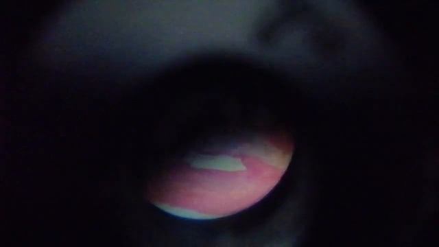 смотрю под микроскопом челенж (часть 2) смотреть онлайн