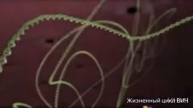 ВИЧ вирус жизненный цикл Решение облегченного обучения В  С