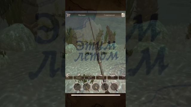 Ловим щуку окуня на спиннинг смотреть онлайн