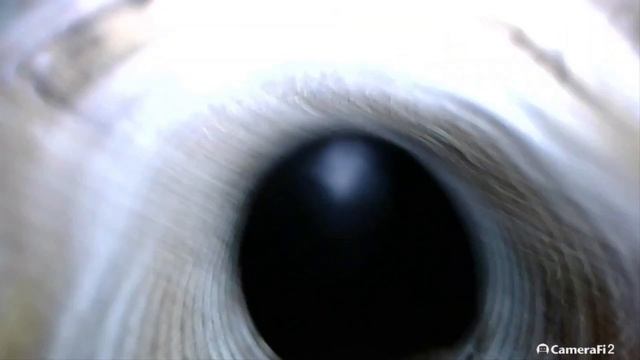 Jeep Compass 2.4 2007 354000км: результат после аппаратной раскоксовки смотреть онлайн