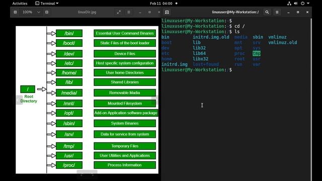 Linux Basics - Lecture 12 - Linux Directory Structure (Urdu/Hindi हिन्दी) смотреть онлайн
