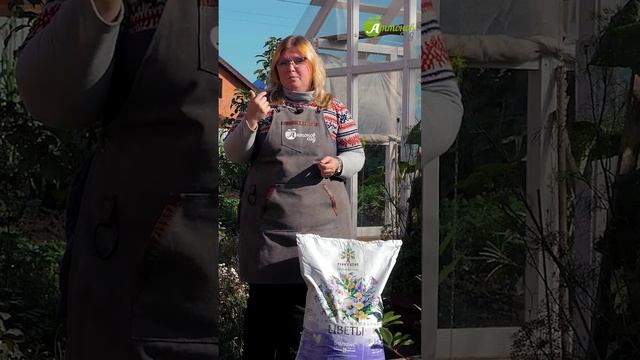 Когда сажать тюльпаны? смотреть онлайн