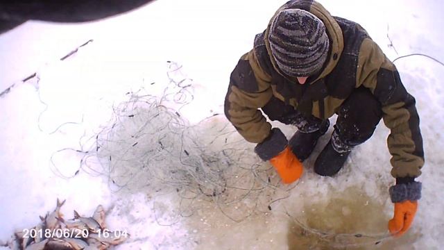 MOVI0006 смотреть онлайн