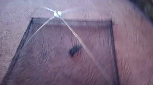 обзор на малявочник для рыбалки# паук подъёмник#🐟