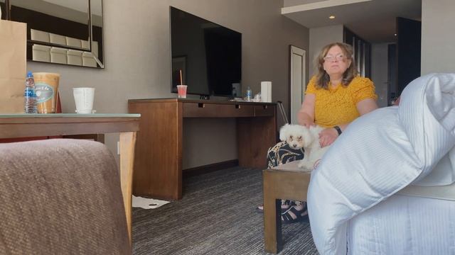 California to Texas: Road Trip Adventures, and Empty Apartment Tour! 🚗 смотреть онлайн