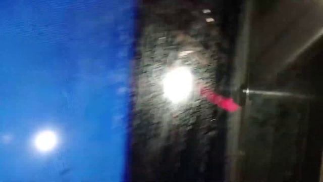 Фантик носит очки 🤯