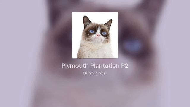 Plymouth Plantation P2 смотреть онлайн
