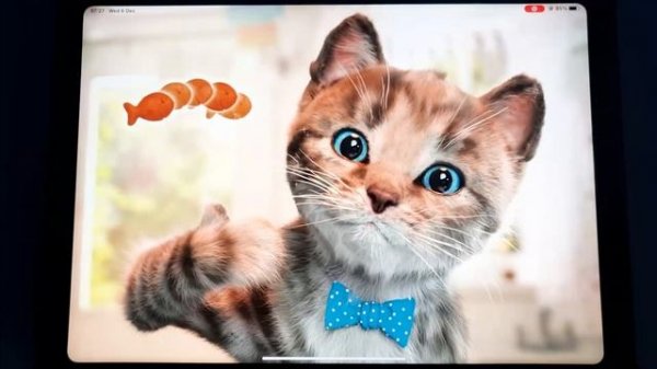 LITTLE KITTEN ADVENTURE EDUCATIONAL GAMES - LEARNING GAME -FUN CUTE KITTEN PETCARE FOR KIDS