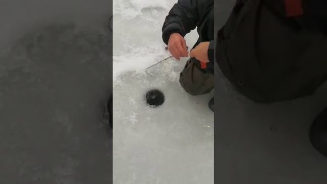 13 декабря 2022 г. смотреть онлайн