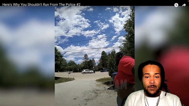 Here's Why You Shouldn't Run From The Police #2 | REACTION смотреть онлайн