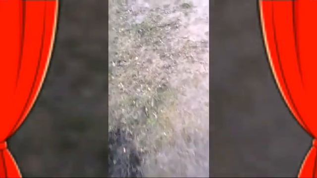 Ловим Платву и Устеру на десне смотреть онлайн