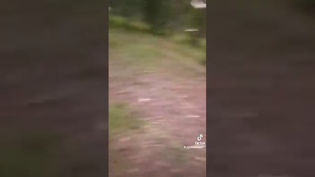 ходил пьяный по канату без страховки смотреть онлайн