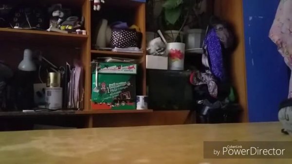 Обзор на очки от LEOMAX