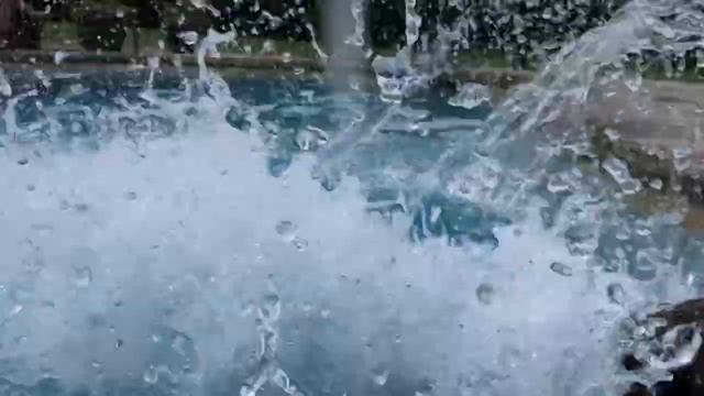 choc lab jumps across pool to join me on seat смотреть онлайн