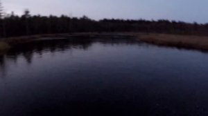 Вездеход Шерп на болотце