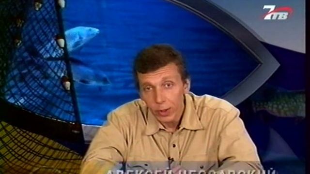Диалоги о рыбалке №55 Кутум смотреть онлайн