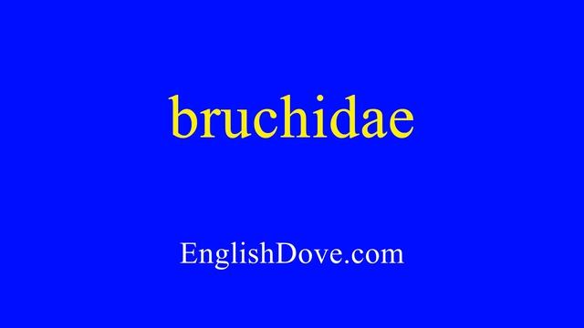 How To Pronounce Bruchidae In American English