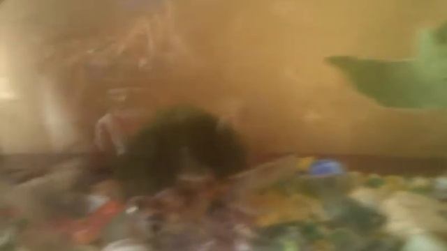 Fish dance смотреть онлайн