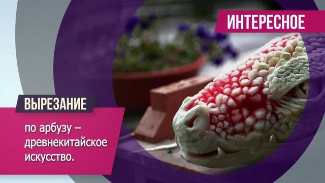 Интересное смотреть онлайн