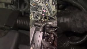 Охлаждение на Орландо