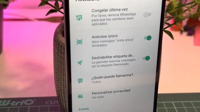 WHATSAPP PLUS sin anuncios: trucos que WHATSAPP NO TIENE (2023) смотреть онлайн