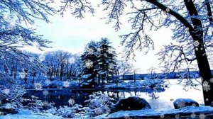 Музыкальный-клип. Зима холода Я один Ты одна - Андрей Губин Зима холода